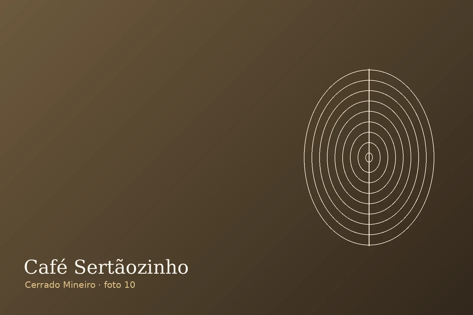 Sala de classificação — Fazenda Sertãozinho