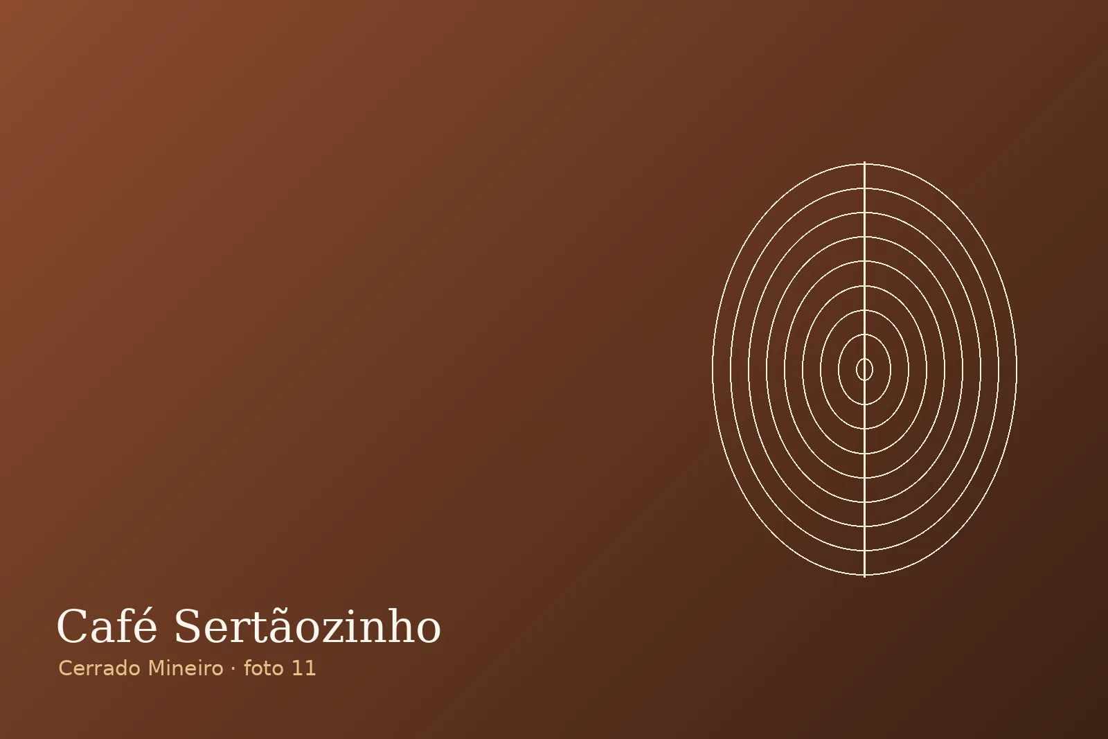 Mesa de prova (cupping) — Fazenda Sertãozinho