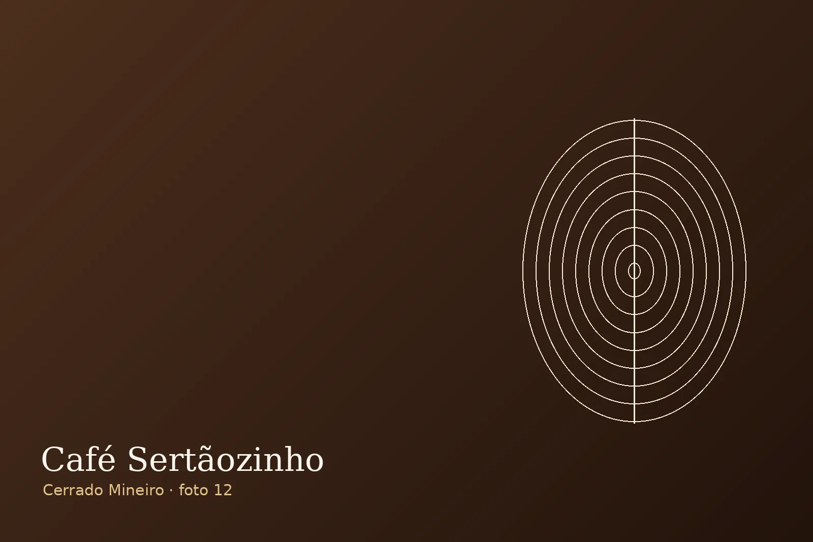 Do grão à xícara — Fazenda Sertãozinho