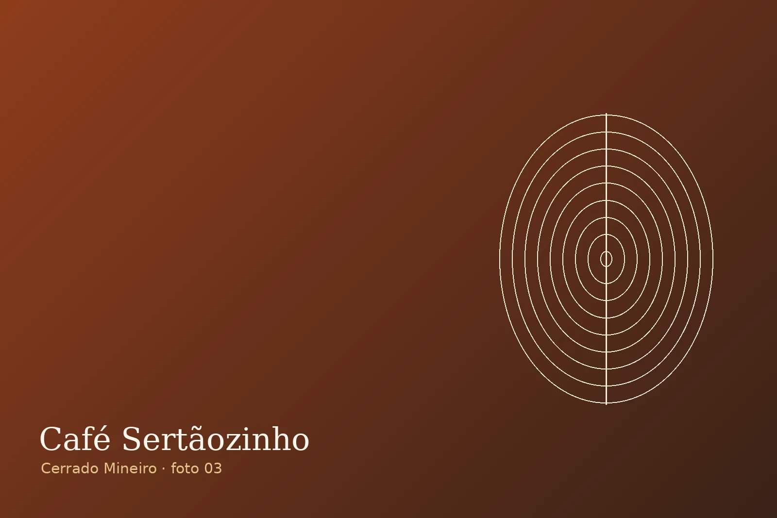 Terraços de secagem — Fazenda Sertãozinho