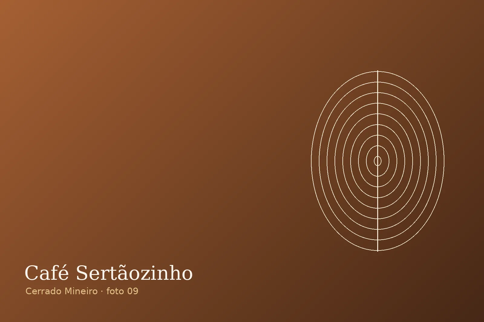 Torrefação artesanal — Fazenda Sertãozinho